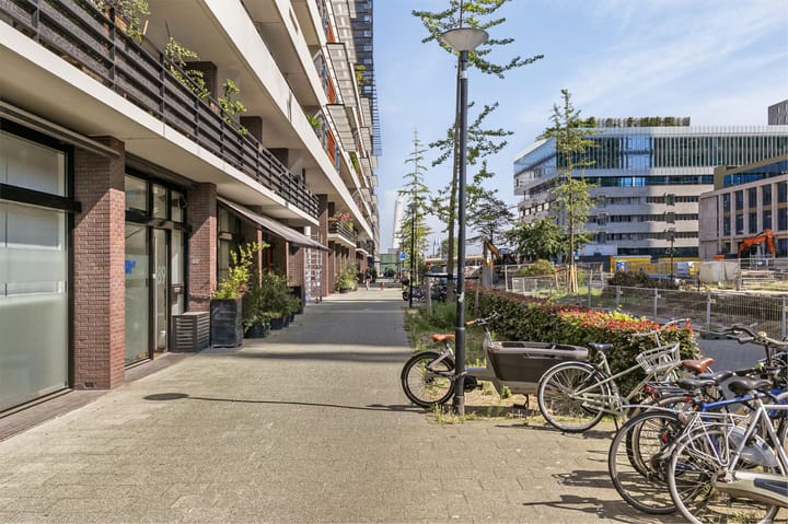 Foto 40 van Gedempte Zalmhaven 953