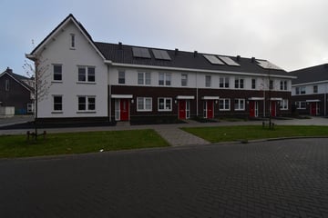Aardbeivlinder 212