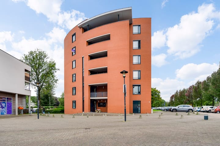 undefined main image