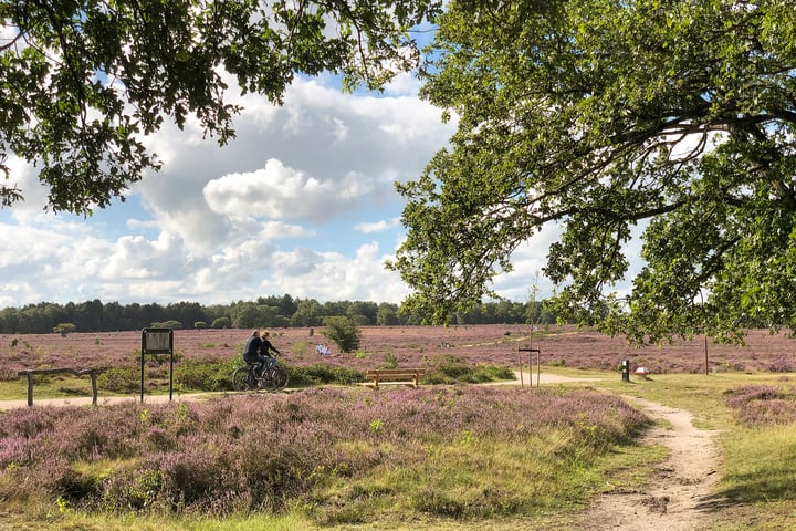 Bekijk foto 24 van Kamerlingh Onnesweg 201