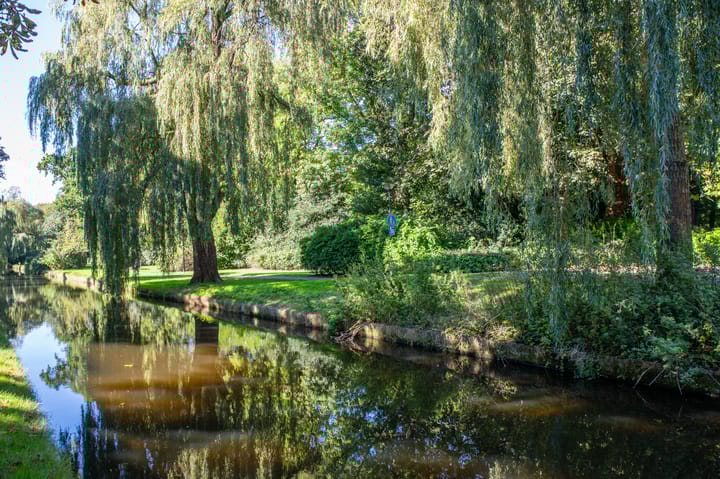 Foto 2 van Frans Halskade 113