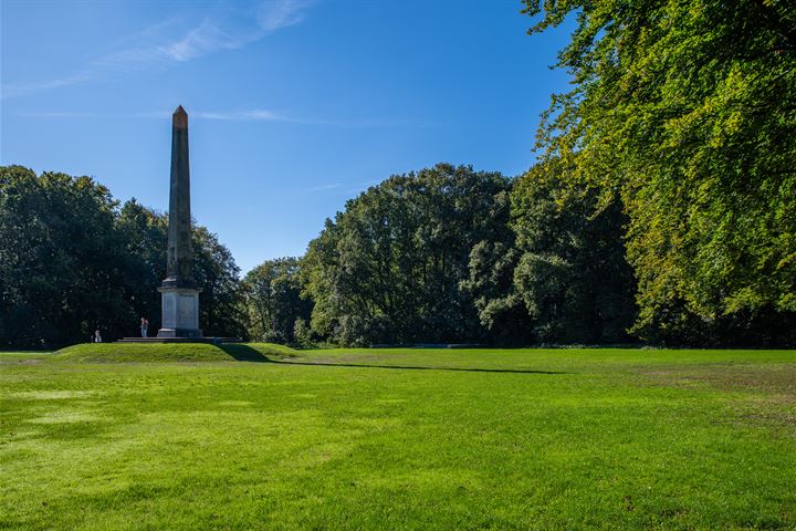 Bekijk foto 31 van Frans Halskade 113