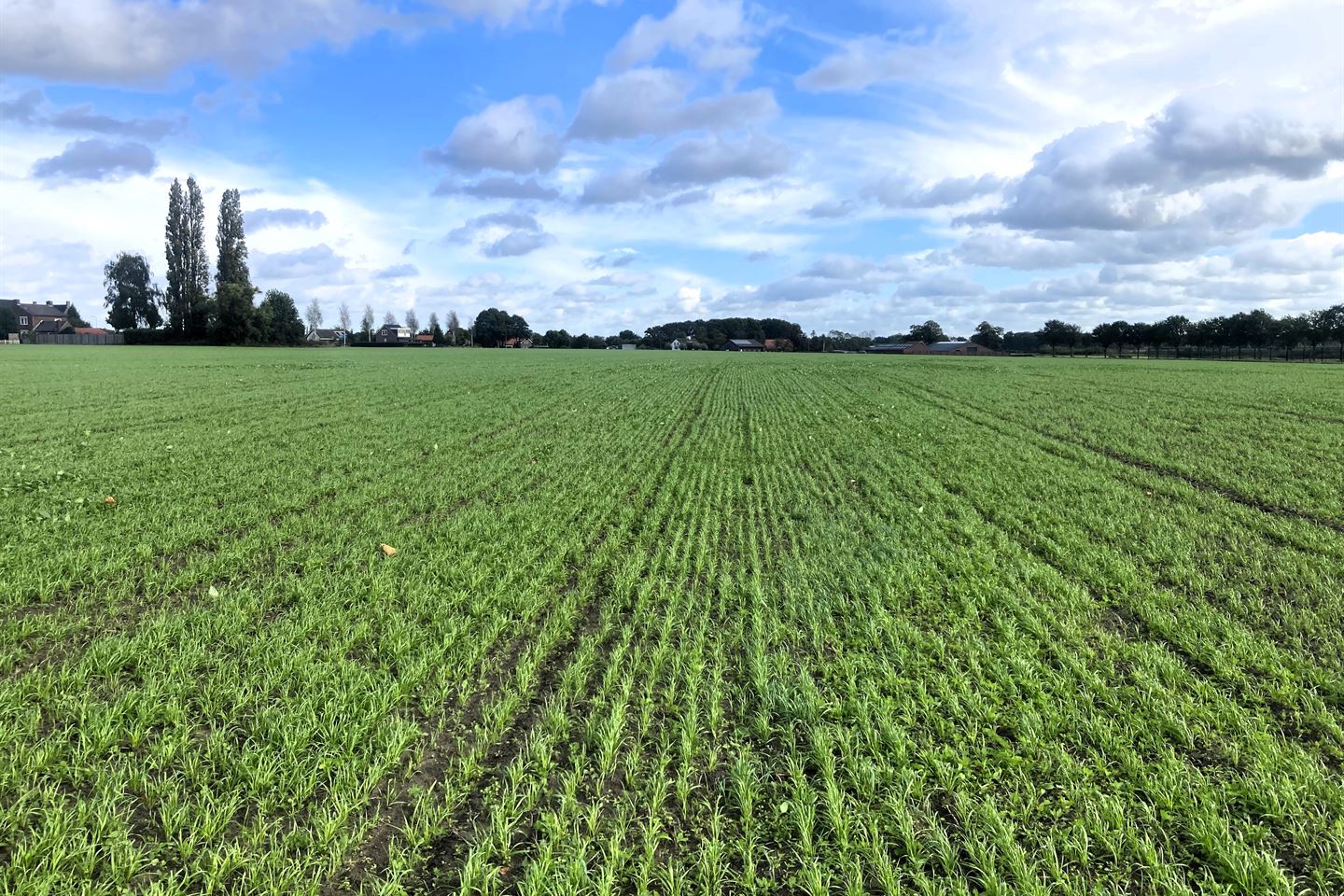 Bekijk foto 4 van Merseloseweg