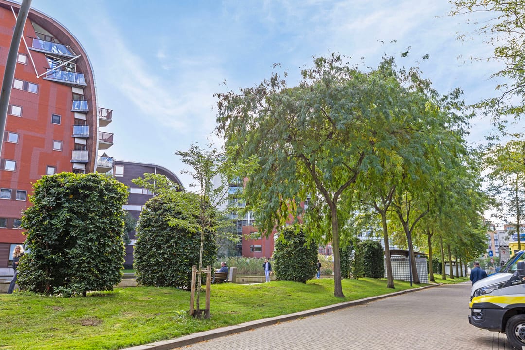 Foto 28 van Jonkerstraat 11