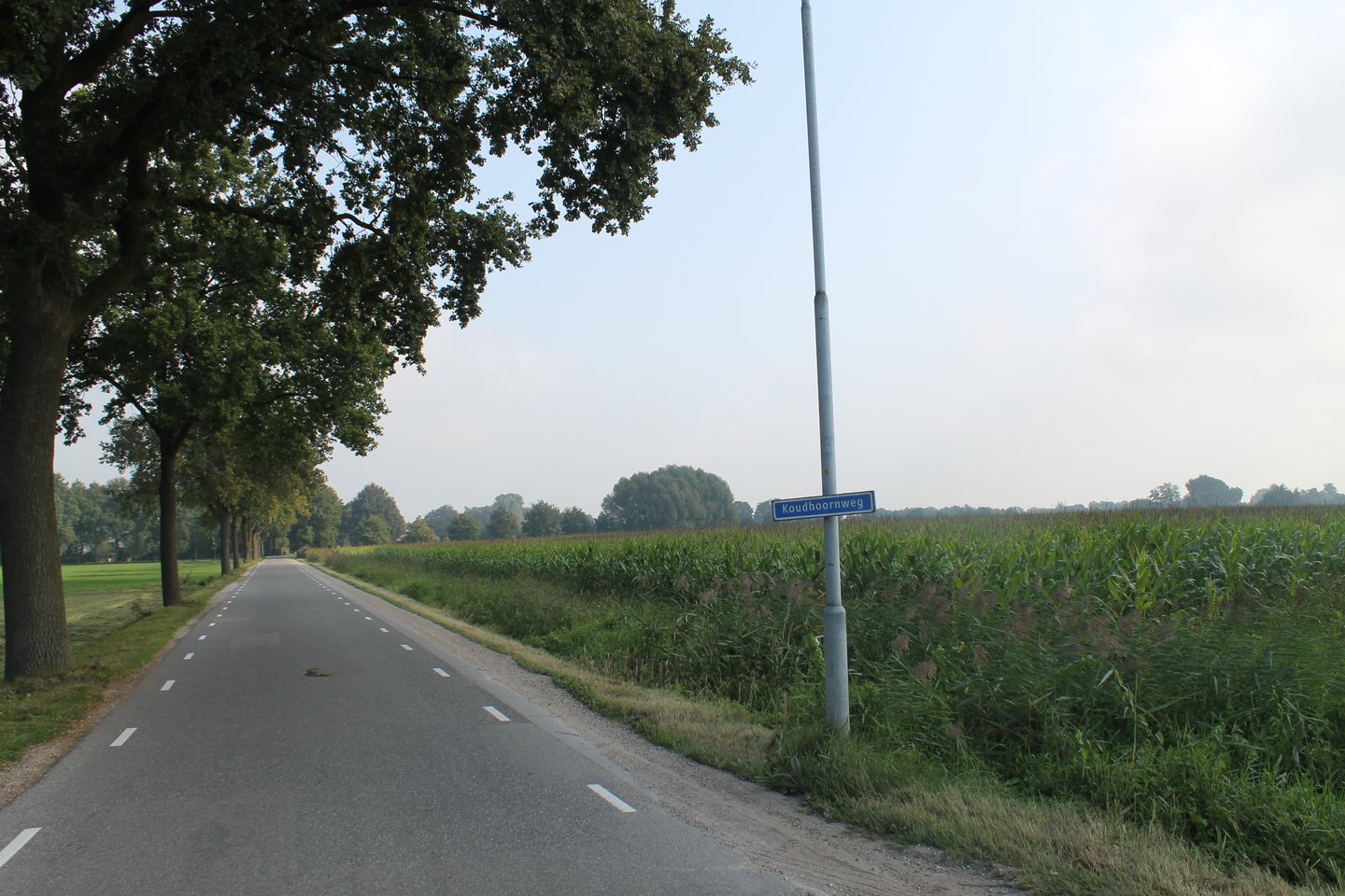 Bekijk foto 3 van Grond nabij Hoge Valkseweg