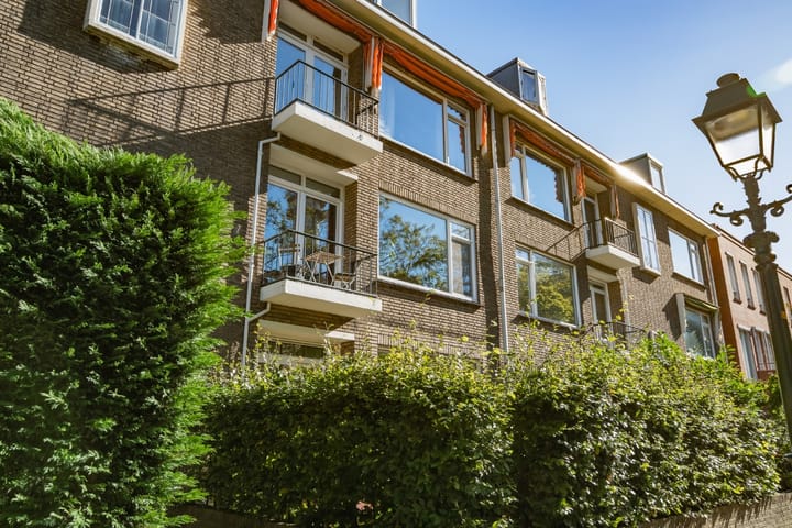 Foto 43 van Amalia van Solmsstraat 50