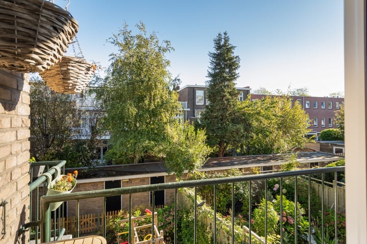 Foto 47 van Amalia van Solmsstraat 50