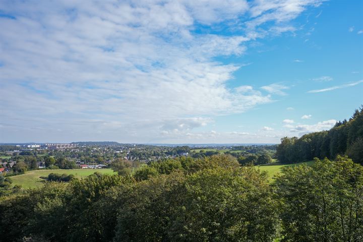 Bekijk foto 31 van Viergrenzenweg 140