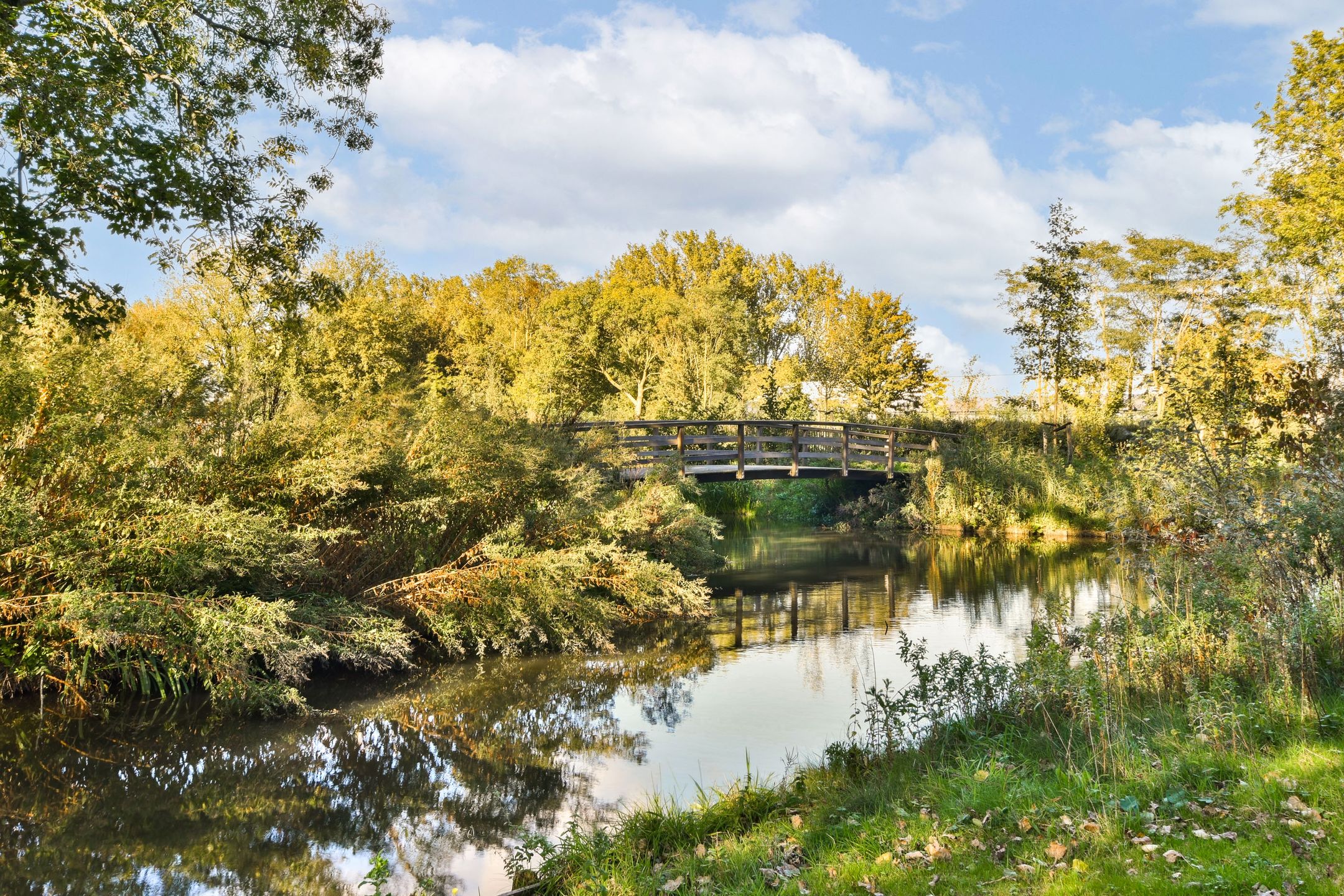 Foto 36 van Sweelinckstraat 37