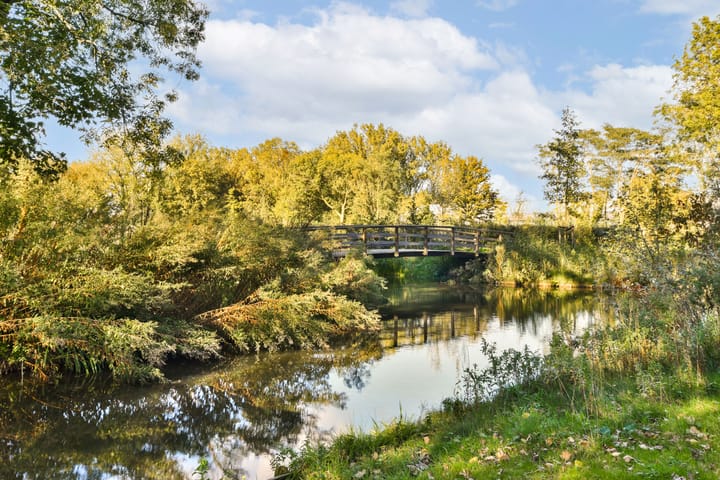 Foto 36 van Sweelinckstraat 37