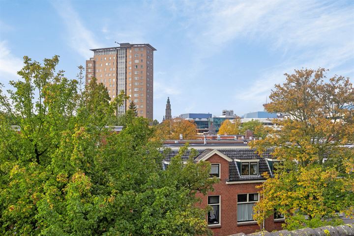 Bekijk foto 32 van Professor Rankestraat 43-A