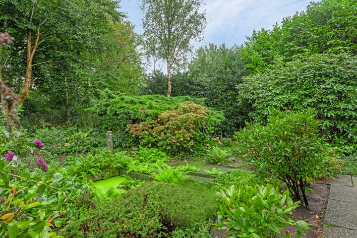 Foto 24 van In de Wolken 244