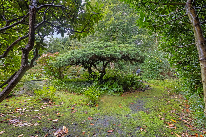 Foto 25 van In de Wolken 244