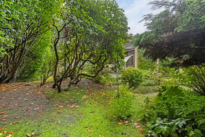 Foto 27 van In de Wolken 244