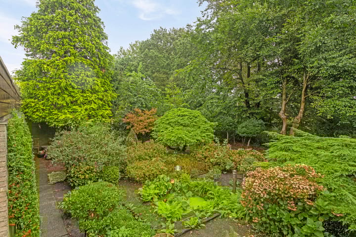 Foto 3 van In de Wolken 244