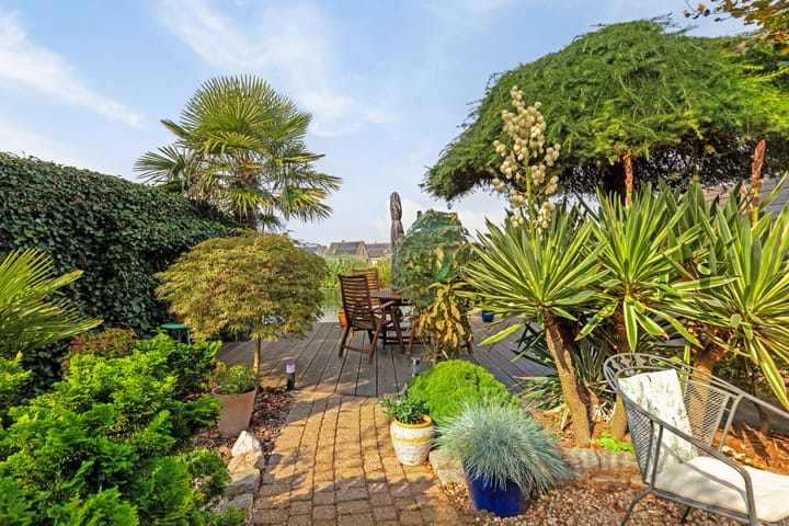 Photo 18 of Gouwe 64