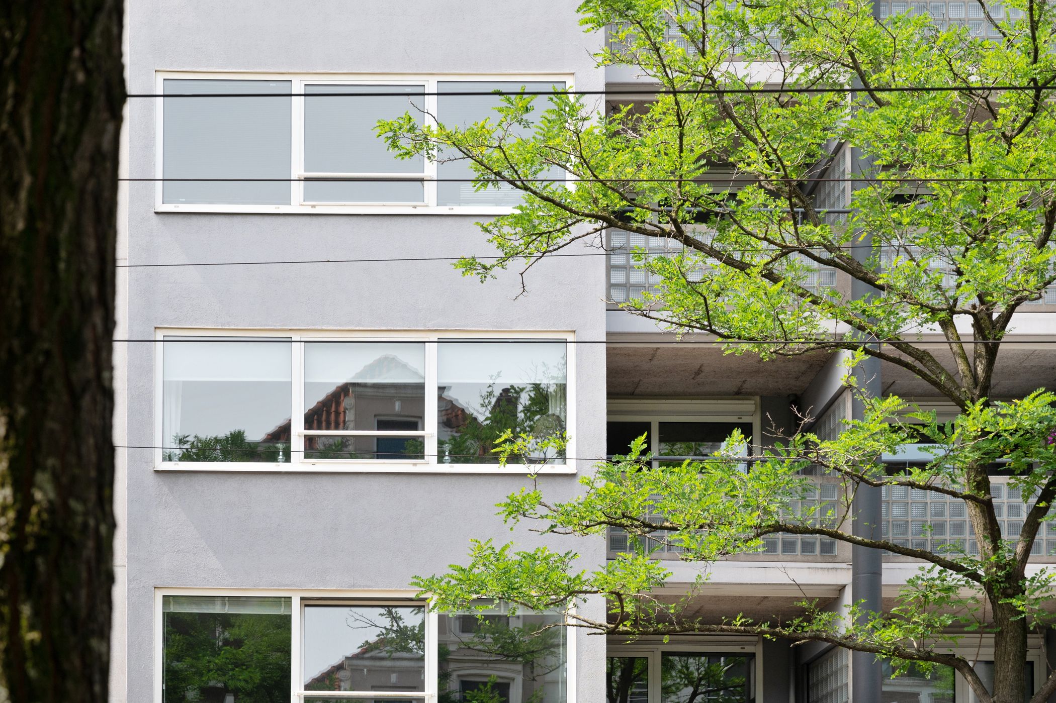 Foto 6 van Nieuwe Binnenweg 157-D