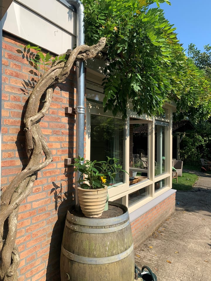 Foto 50 van Bachlaan 174