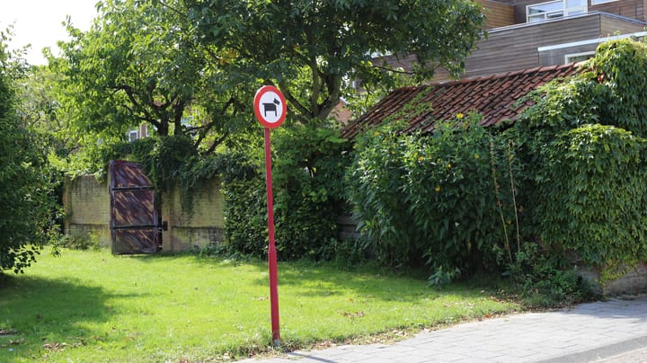 Foto 56 van Bachlaan 174