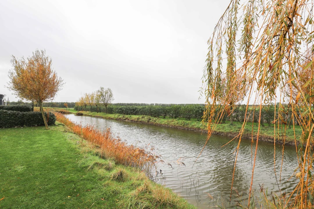 Photo 17 of Ruisweg 25