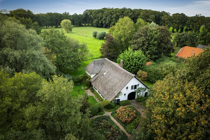 Bekijk foto 3 van Leuvenheimsestraat 2