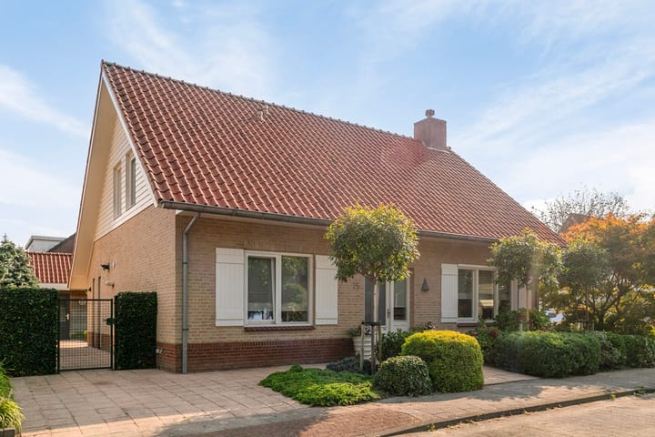 undefined main image