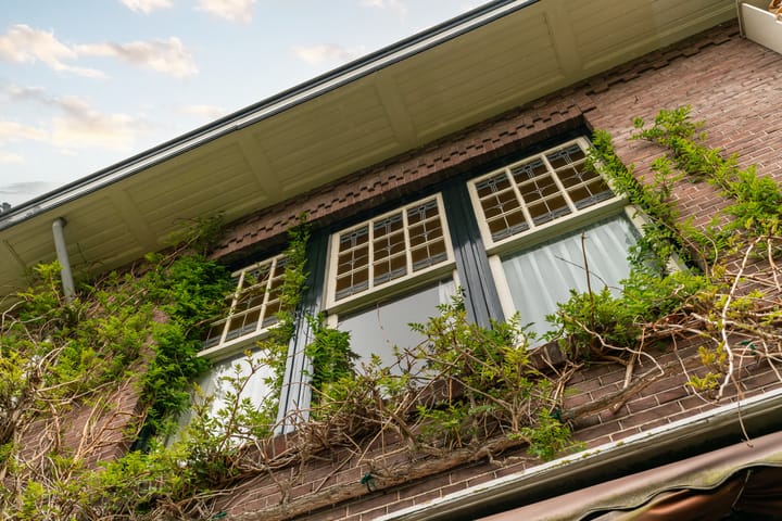 Foto 6 van Violenweg 5