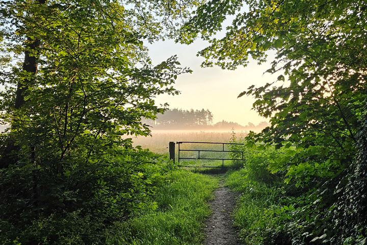 Bekijk foto 56 van Haarweg 11-C