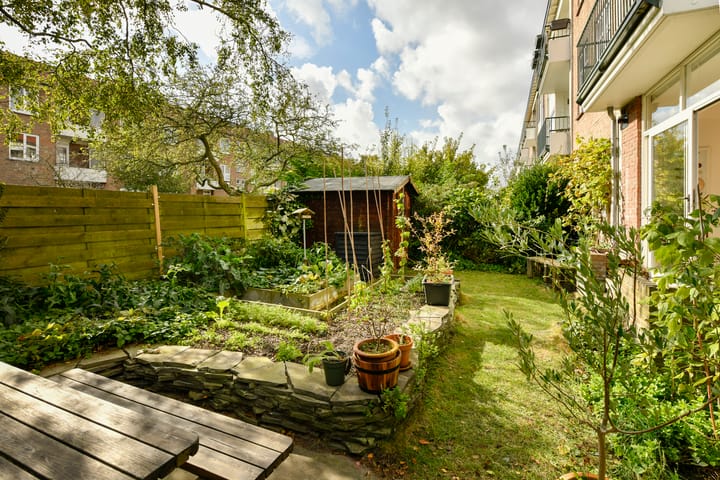 Foto 9 van Louis Chrispijnstraat 3