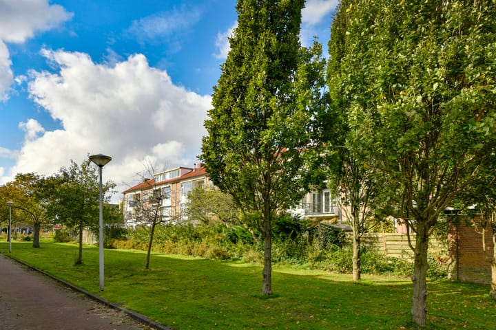 Foto 19 van Louis Chrispijnstraat 3