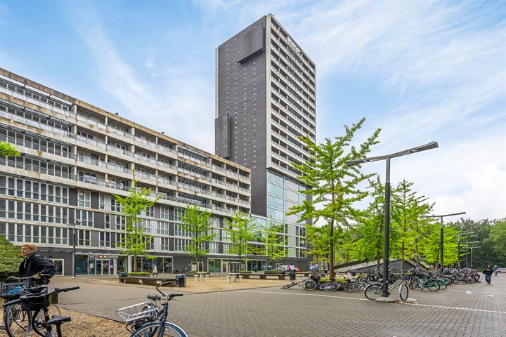 Bekijk foto van Professor de Moorplein 557