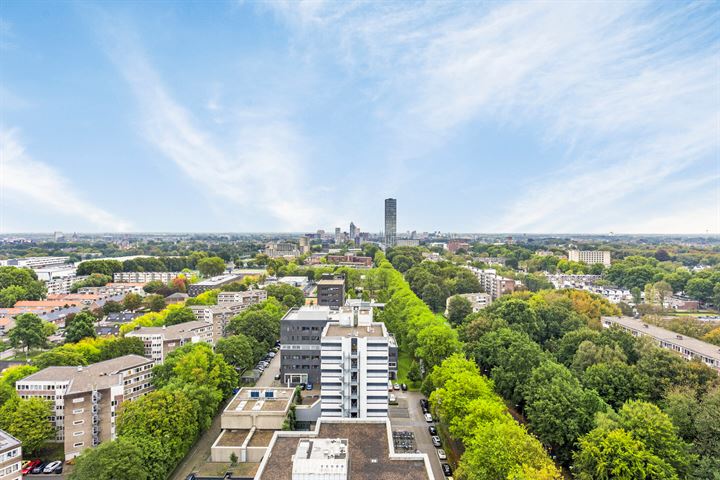 View photo 18 of Professor de Moorplein 557