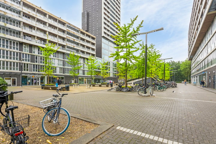 View photo 34 of Professor de Moorplein 557