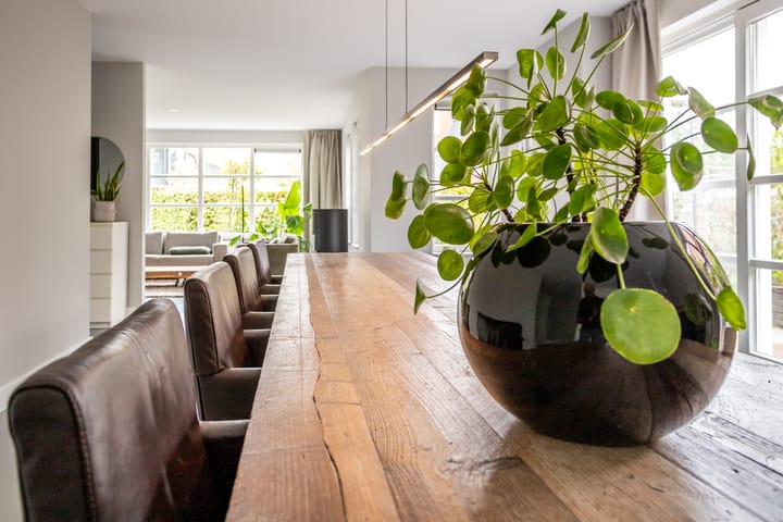 Foto 12 van Johann Strausslaan 1