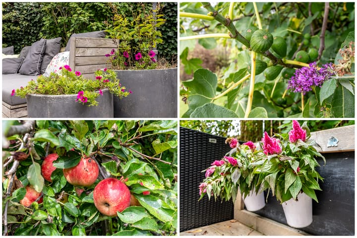 Foto 43 van Johann Strausslaan 1