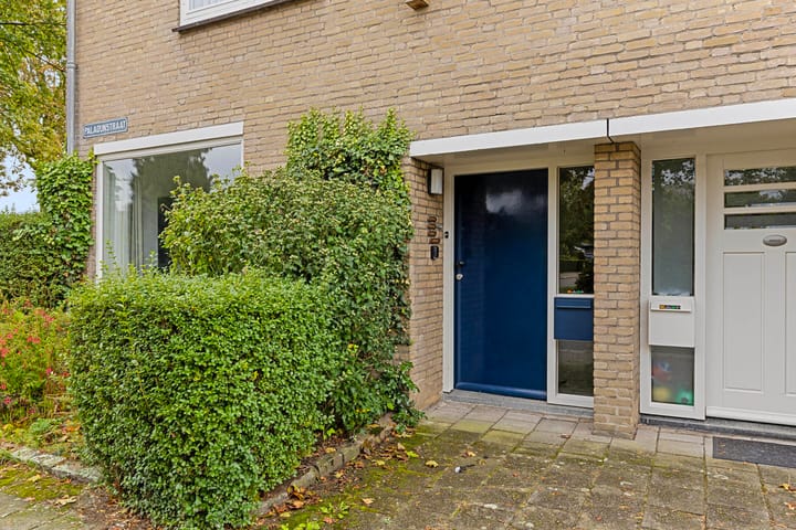 Foto 4 van Paladijnstraat 1