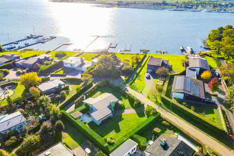 Trintellaan thumbnail