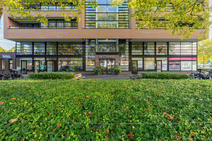 Foto 7 van Groot Ypelaardreef 103