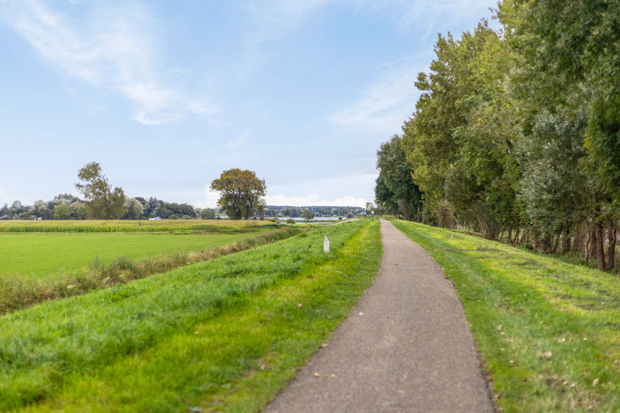 Foto 45 van Lindenstraat 24