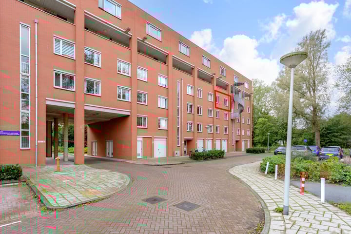 Foto 23 van Suze Groenewegplantsoen 97