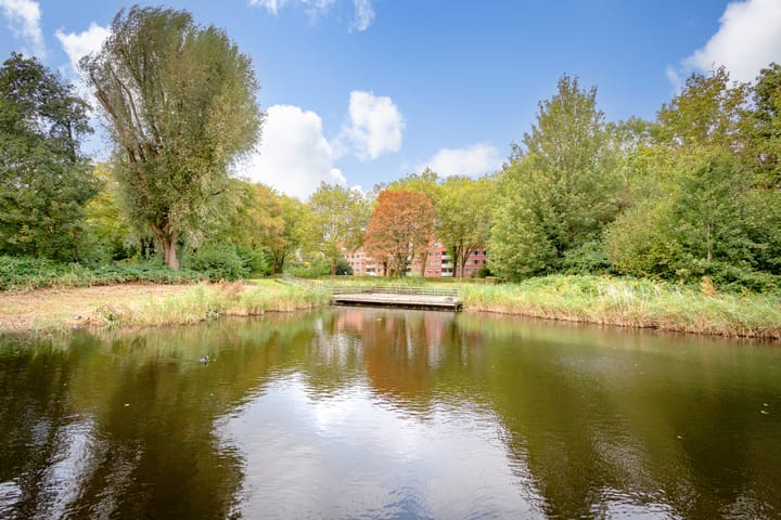 Foto 25 van Suze Groenewegplantsoen 97