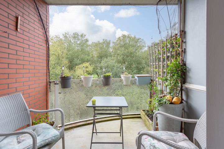 Foto 10 van Suze Groenewegplantsoen 97