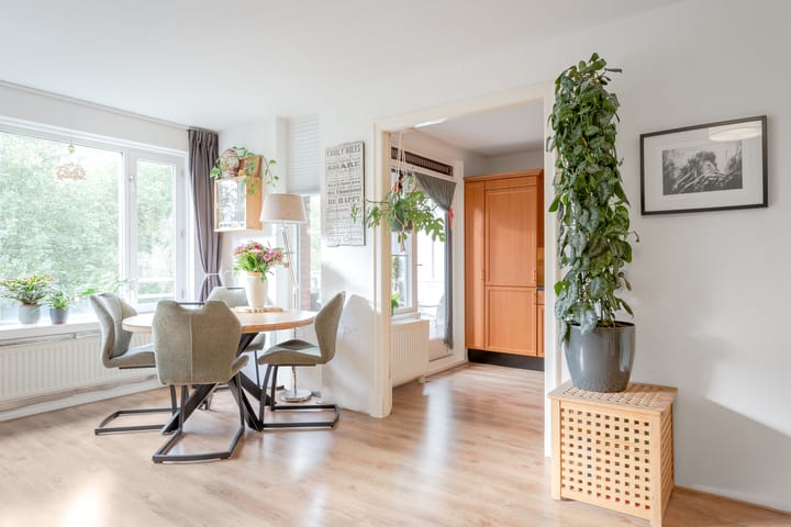 Foto 8 van Suze Groenewegplantsoen 97