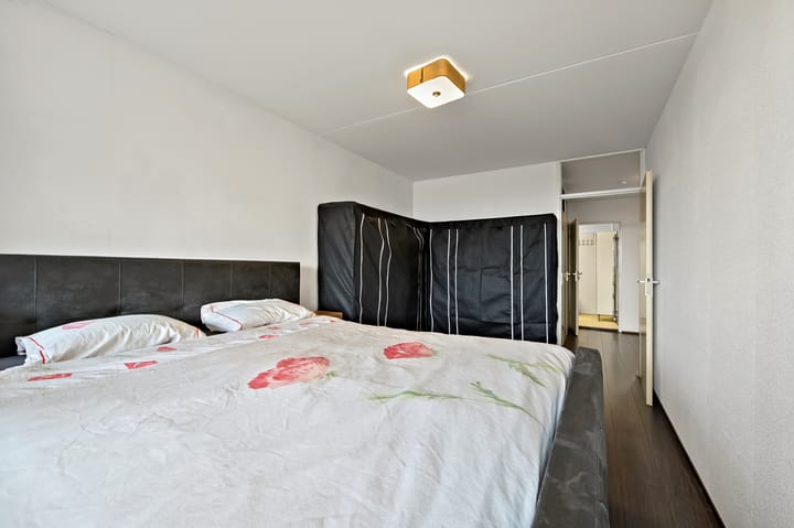 Foto 24 van Van Diesenstraat 207