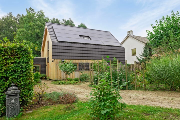 undefined main image