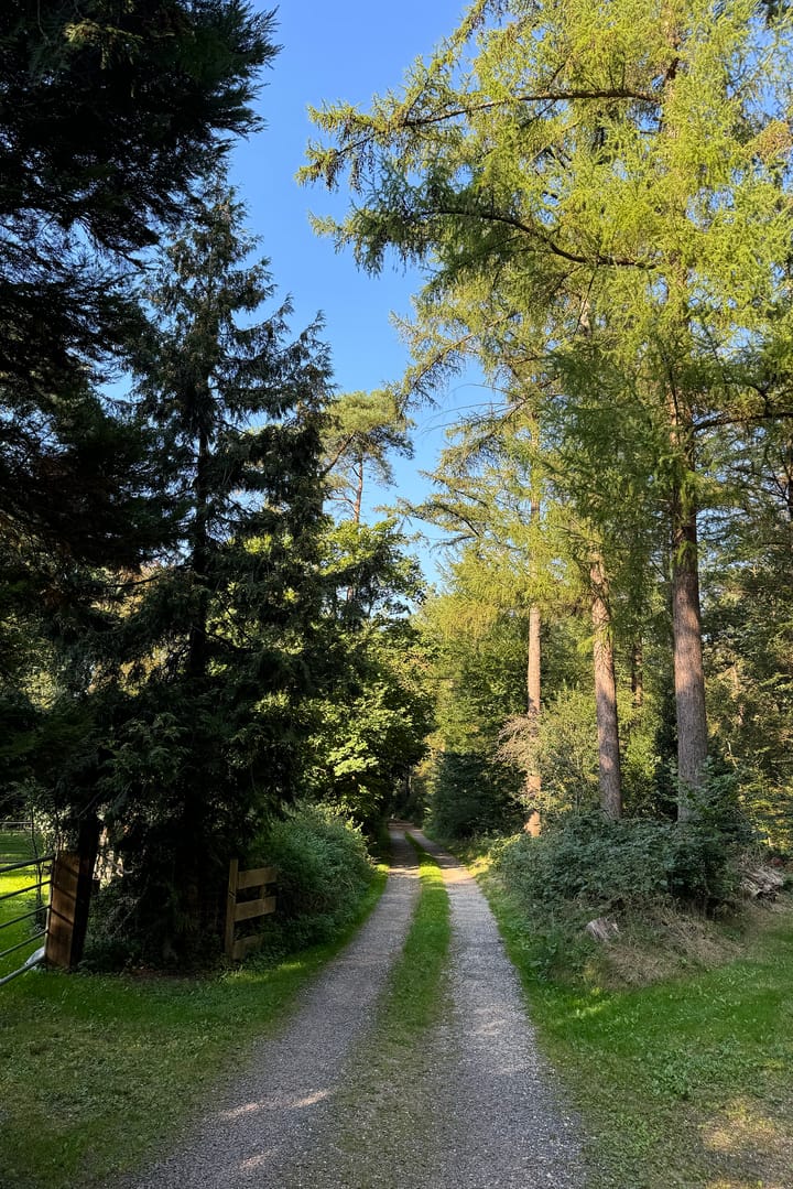 Foto 2 van Vuursche Dreef 91