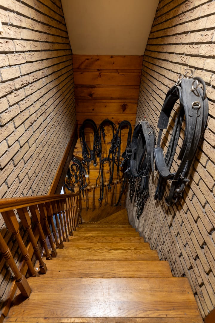 Foto 19 van Vuursche Dreef 91