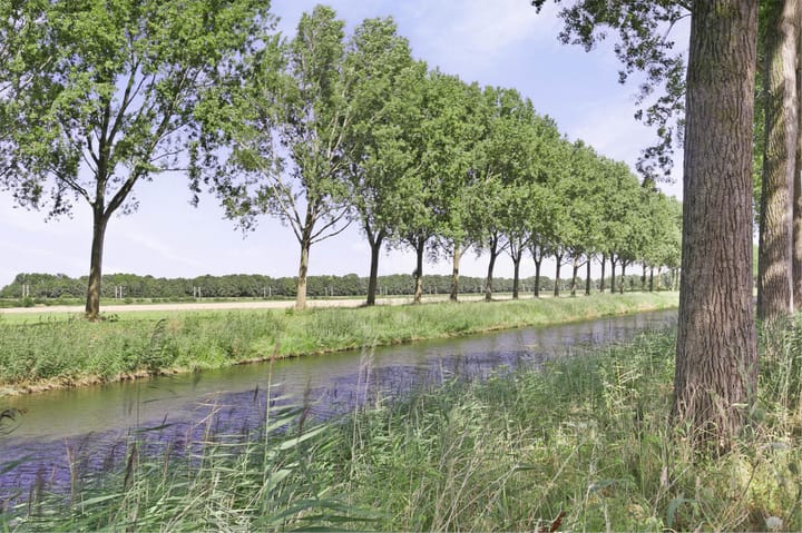 Photo 50 of Zweilandstraat 2