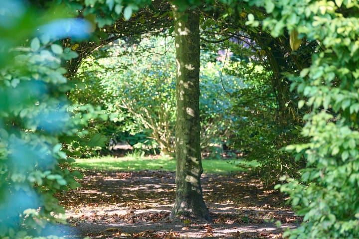 Foto 4 van Oude Gouw 12