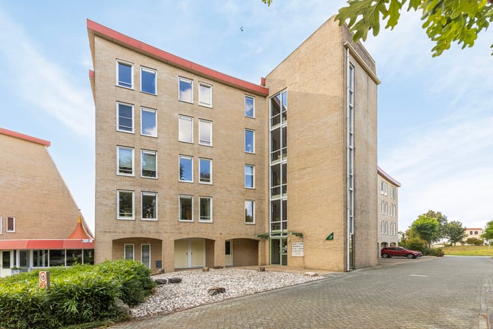 Foto 2 van Rietgors 3-03